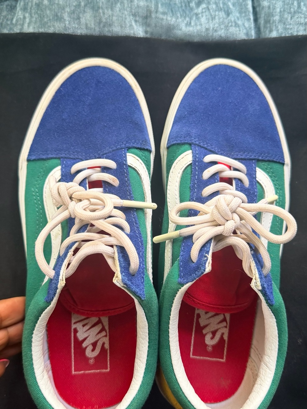 Vans Two-Tone Blue & Green Low Top Sneakers with White Stripe